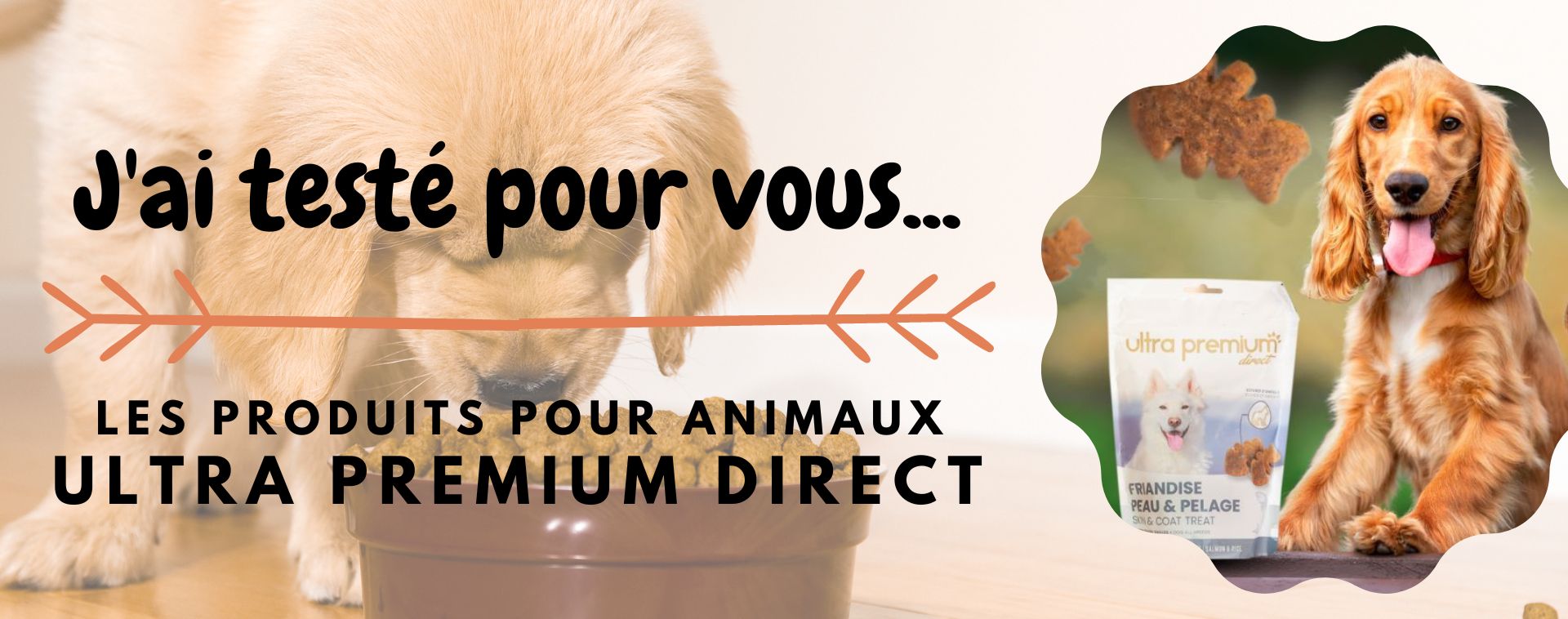 La box cadeau de Noel Ultra Premium Direct - Une Belle Vie De Chat : un  blog sur le chat !
